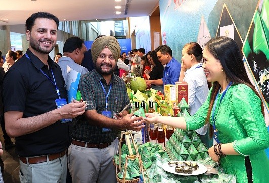 Bình Định thúc đẩy đầu tư, phát triển thương mại, du lịch với Ấn Độ