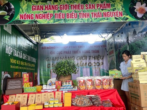 thai nguyen tham du hoi cho am thuc mon ngon tu bien va san pham ocop lang nghe tinh binh dinh