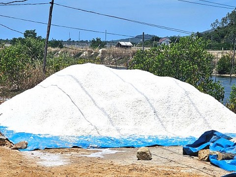 phu yen phat trien ben vung lang nghe lam muoi tuyet diem