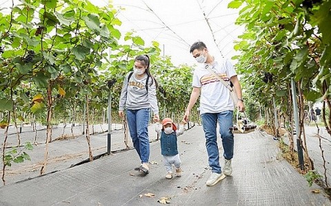 Hà Nội: Kinh tế xanh gắn với mô hình OCOP