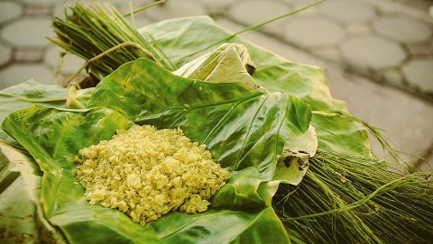 mon qua tao nha mua thu ha noi