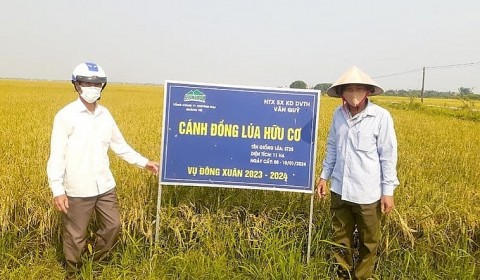 kinh te tap the gop phan xay dung nong thon moi o hai lang