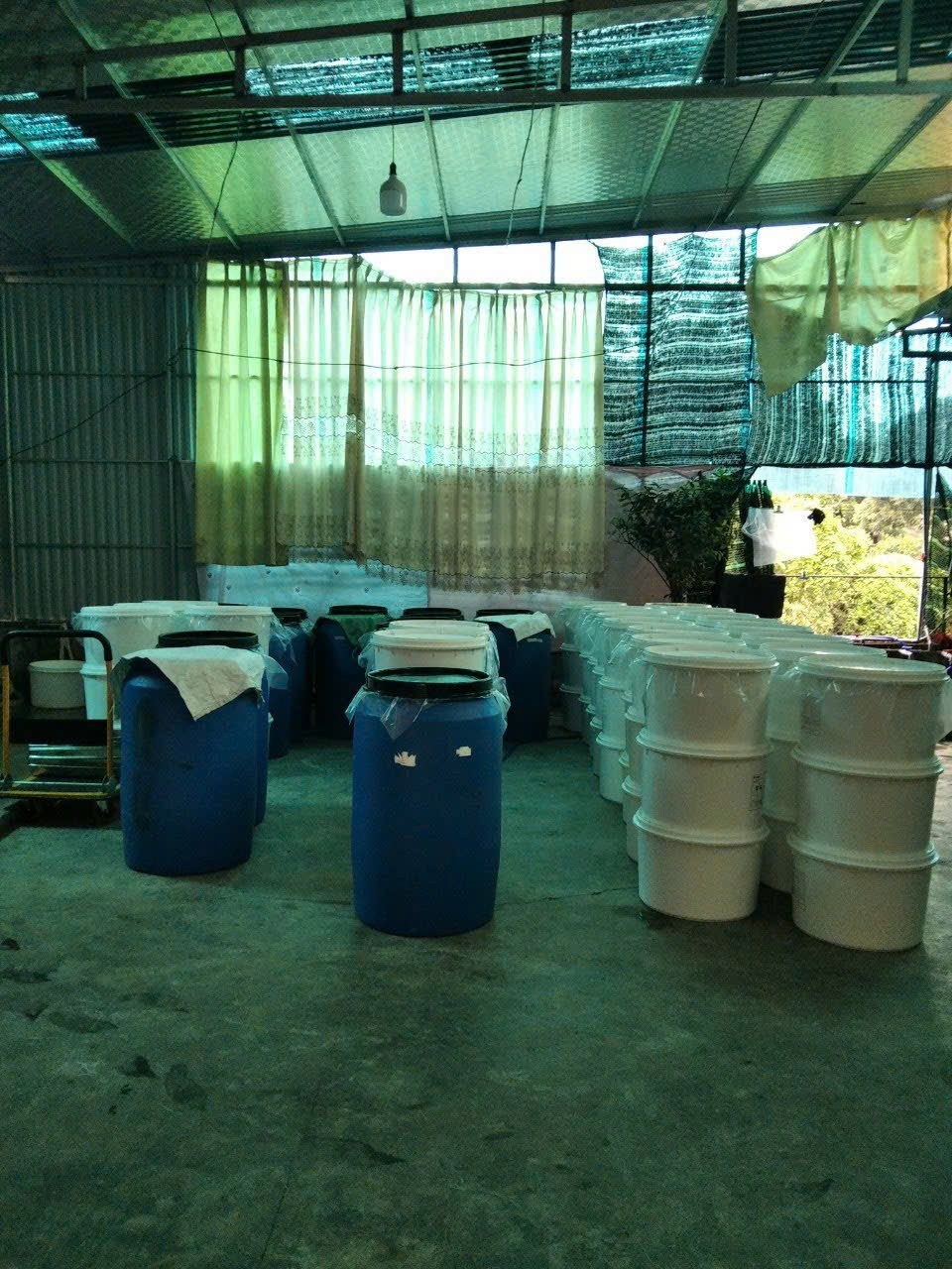 Rượu Lừng Hồng -  Tinh hoa giá trị truyền thống từ hạt lúa nếp thơm Thái Bình Rượu Lừng Hồng -  Tinh hoa giá trị truyền thống từ hạt lúa nếp thơm Thái Bình