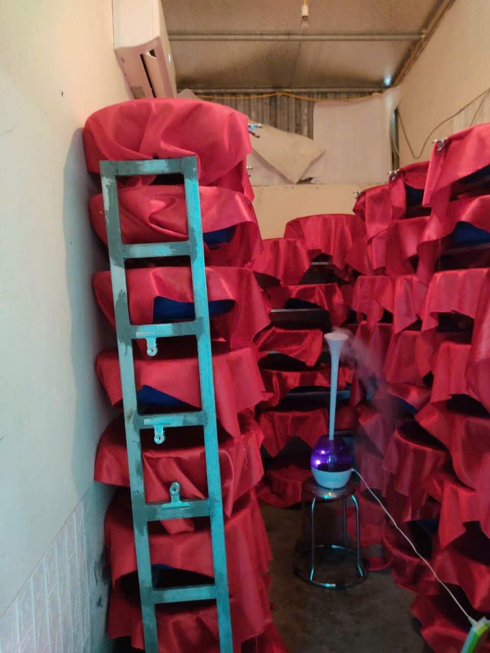 Rượu Lừng Hồng -  Tinh hoa giá trị truyền thống từ hạt lúa nếp thơm Thái Bình Rượu Lừng Hồng -  Tinh hoa giá trị truyền thống từ hạt lúa nếp thơm Thái Bình