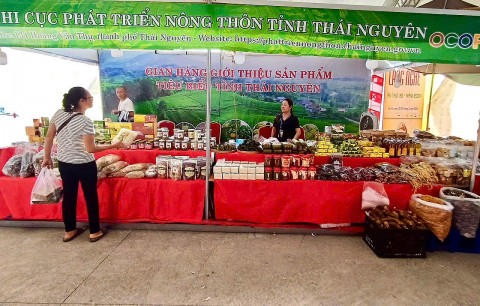 chi cuc ptnt tinh thai nguyen tham du hoi cho lang nghe viet nam 2024