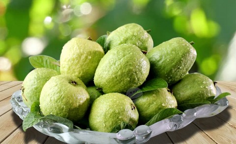 Hà Nam: Nâng cao giá trị sản phẩm ổi OCOP