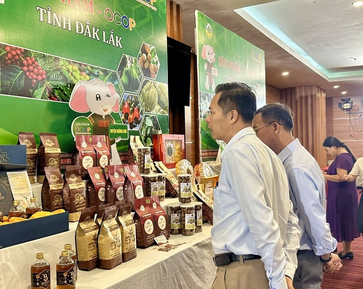 Đắk Lắk tổ chức nhiều hoạt động giới thiệu, kết nối, tiêu thụ sản phẩm OCOP   Đắk Lắk tổ chức nhiều hoạt động giới thiệu, kết nối, tiêu thụ sản phẩm OCOP