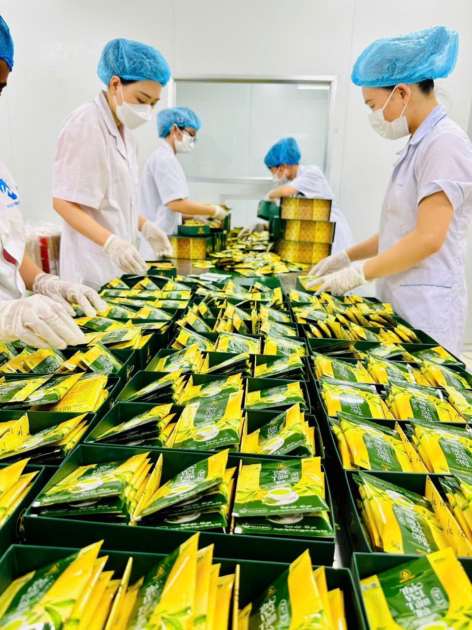 Trà Thảo Việt - Tinh hoa từ người Việt! Trà Thảo Việt - Tinh hoa từ người Việt!