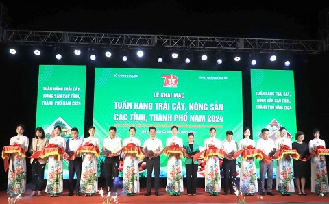 tuan hang trai cay nong san cac tinh thanh pho nam 2024