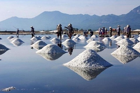 bac lieu festival nghe muoi viet nam nam 2024
