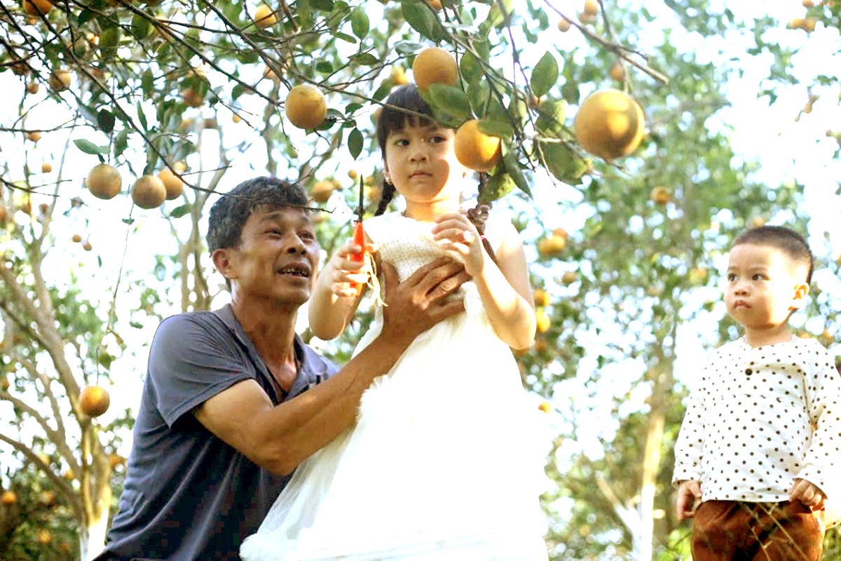 HTX phát triển mô hình du lịch sinh thái kết hợp với tham quan vườn cam