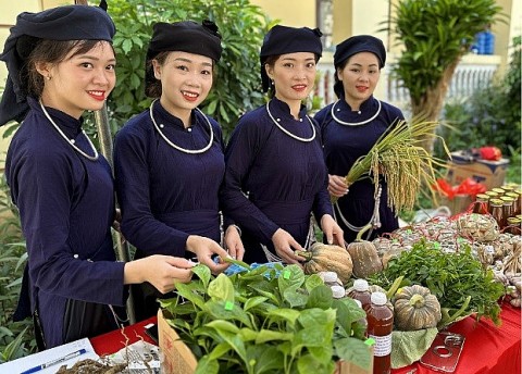 Hà Tĩnh: Chương trình OCOP góp phần xây dựng nông thôn mới ở Hương Sơn