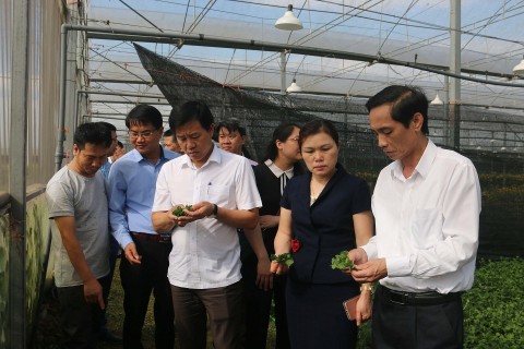 Hoạt động khuyến nông tích cực phát huy hiệu quả sau khi sát nhập các trạm