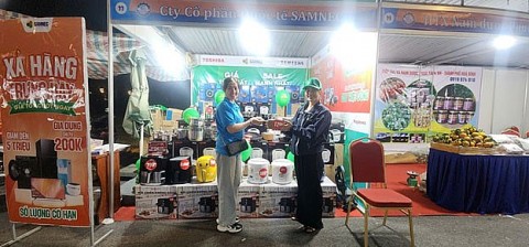 hai phong to chuc chuong trinh tuan hang viet nam