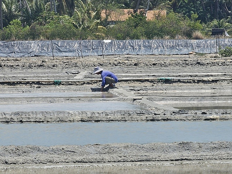 Du lịch cộng đồng sản xuất muối Tuyết Diêm, xã Xuân Bình, TX Sông Cầu Du lịch cộng đồng sản xuất muối Tuyết Diêm, xã Xuân Bình, TX Sông Cầu