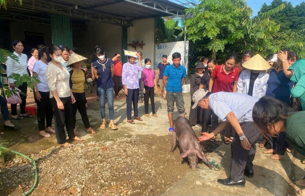 Thanh Hoá: Tăng cường đào tạo nghề cho lao động làng nghề vùng nông thôn, vùng đặc biệt khó khăn