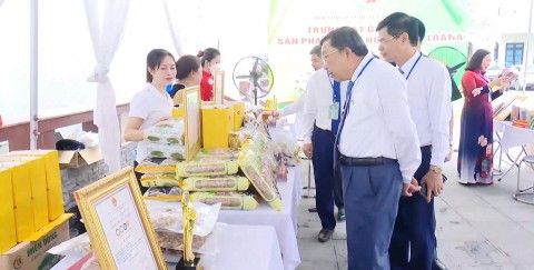 htx nong san an toan quoc oai huong di moi cho san xuat va tieu thu nong san ben vung