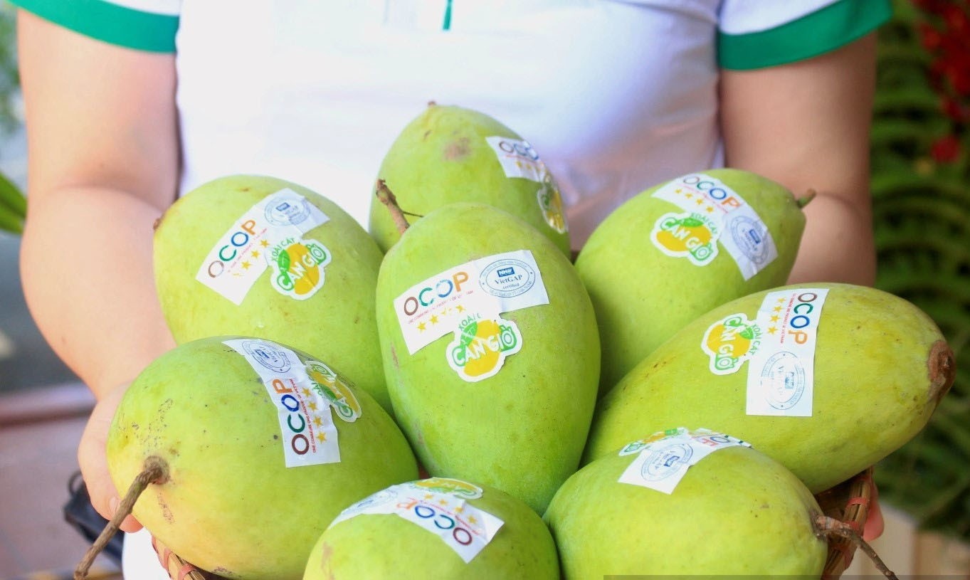 Đặc sản từng địa phương thường được biết đến là sản phẩm OCOP. Đặc sản từng địa phương thường được biết đến là sản phẩm OCOP.