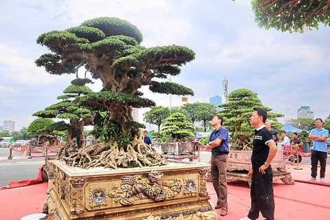 300 nghe nhan doanh nhan tham gia lien hoan sinh vat canh thu do nam 2024