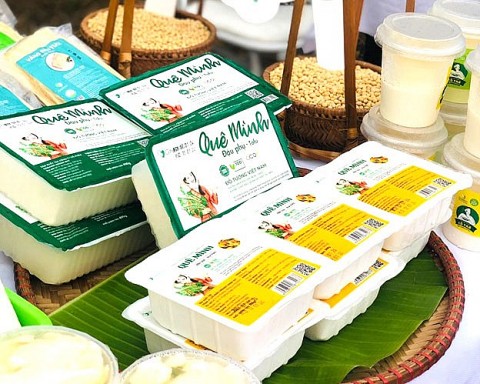 Cây đỗ tương thuần Việt thành sản phẩm sạch chống biến đổi gen