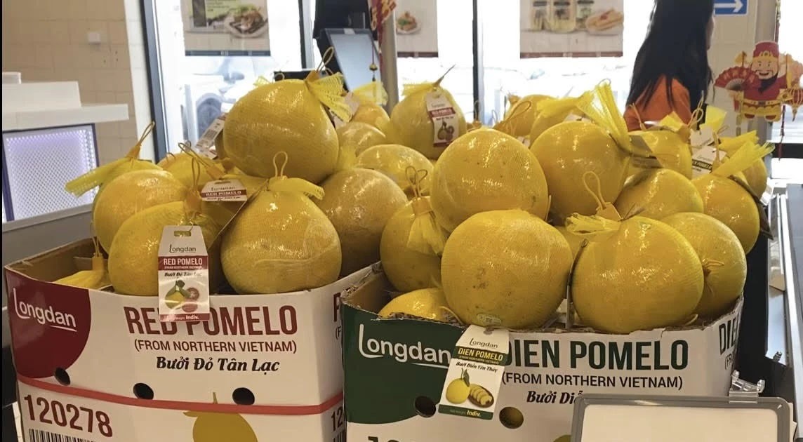 Dien grapefruit on sale at London supermarket. Dien grapefruit on sale at London supermarket.