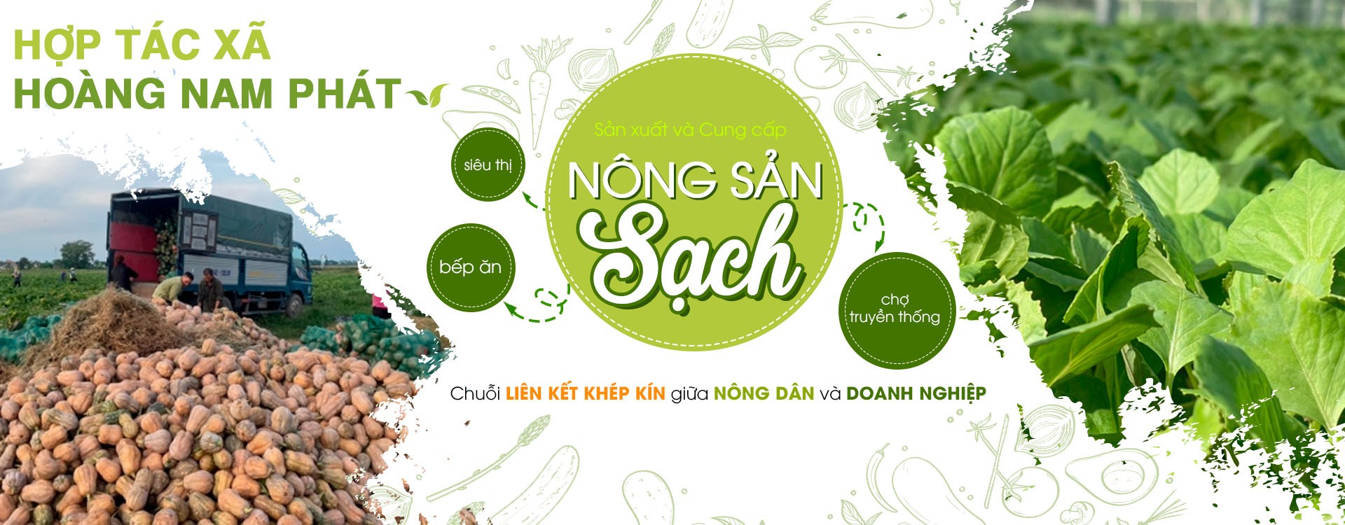Hợp tác xã Hoàng Nam Phát: Phát triển nông nghiệp chất lượng cao Hợp tác xã Hoàng Nam Phát: Phát triển nông nghiệp chất lượng cao