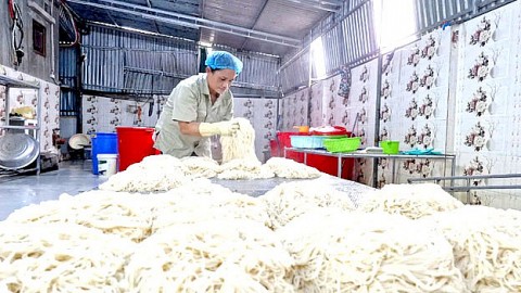Nghệ An: Hành trình đưa bún gạo truyền thống thành sản phẩm OCOP