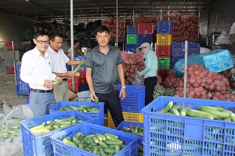 Hợp tác xã Hoàng Nam Phát: Phát triển nông nghiệp chất lượng cao