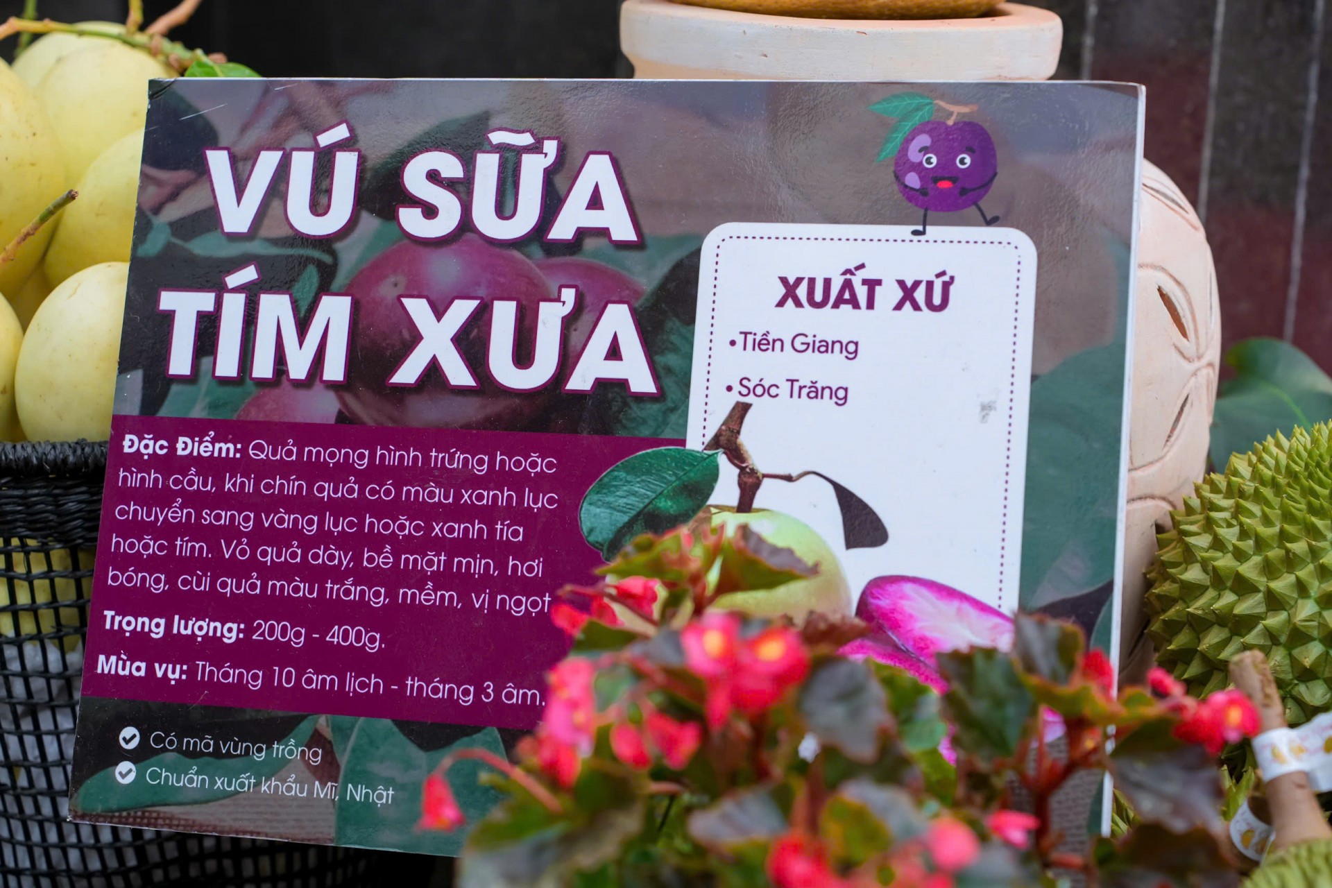 TP.HCM: Đông đảo người dân hưởng ứng lễ hội tôn vinh nông sản Việt