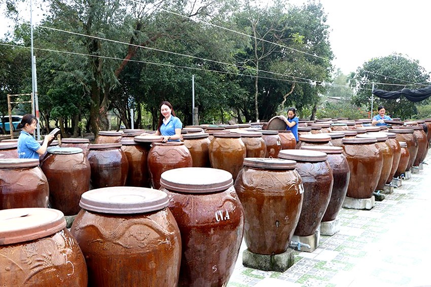 Ông giáo làng đưa nước mắm truyền thống thành sản phẩm OCOP