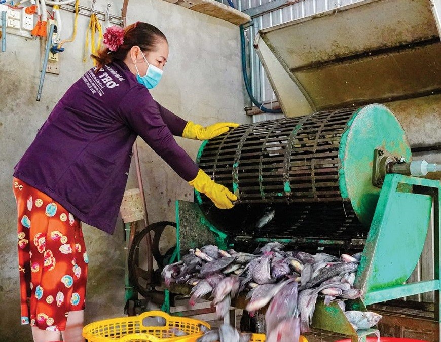 Bà Ðặng Thị Tuyết, hộ kinh doanh chả cá phi Bảy Thơ (ấp Tân Lợi A, xa Tạ An Khương Nam), làm chả cá phi đạt chuẩn OCOP 3 sao. Bà Tuyết dự định sẽ đầu tư thêm máy móc, mở rộng quy mô, phát triển nhãn hiệu chả cá phi Bảy Thơ đạt chuẩn 4 sao trong tương lai.