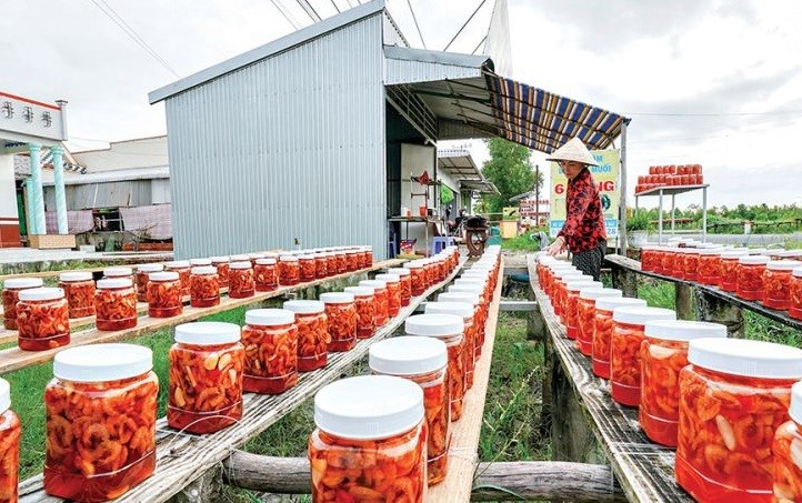 Sản phẩm mắm tôm Sáu Tùng (ấp Trung Cang, xã Tân Trung) được khách hàng trong và ngoài tỉnh ưa chuộng.