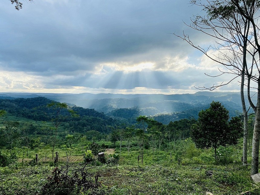 Bình Định: Du lịch sinh thái gắn kết quảng bá sản phẩm OCOP dược liệu