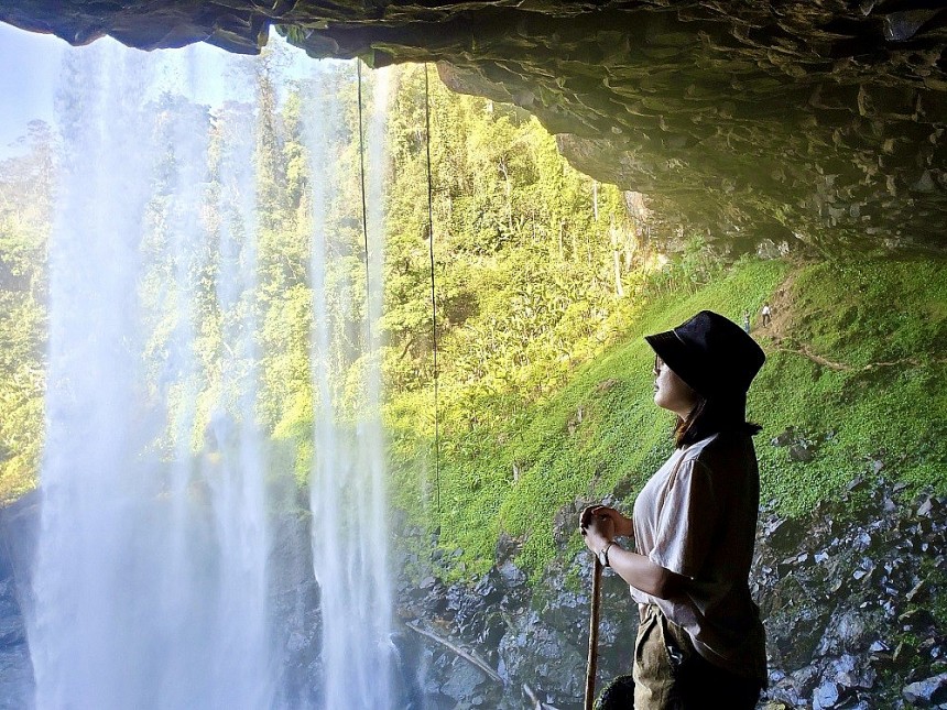 Bình Định: Du lịch sinh thái gắn kết quảng bá sản phẩm OCOP dược liệu