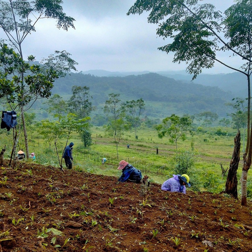 Bình Định: Du lịch sinh thái gắn kết quảng bá sản phẩm OCOP dược liệu