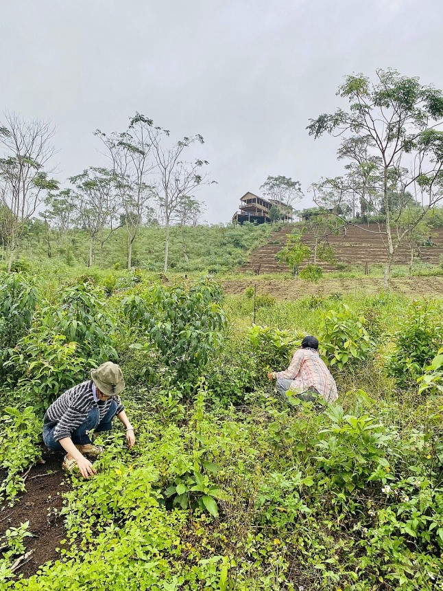 Bình Định: Du lịch sinh thái gắn kết quảng bá sản phẩm OCOP dược liệu