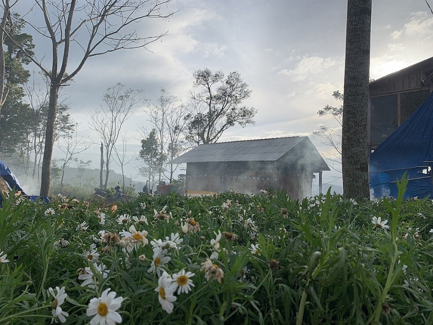 Bình Định: Du lịch sinh thái gắn kết quảng bá sản phẩm OCOP dược liệu