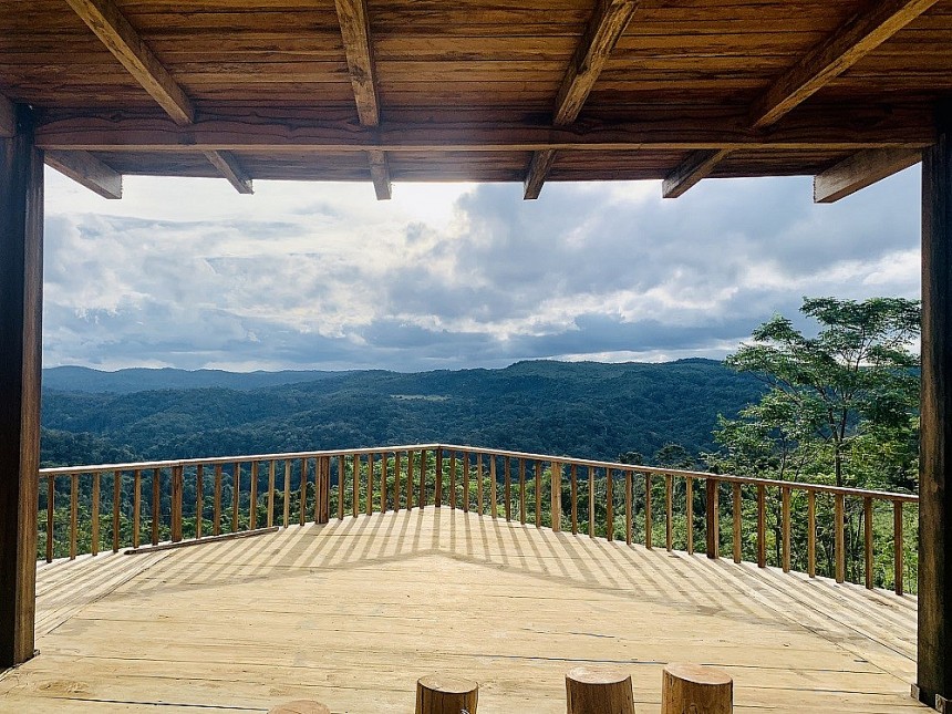 Bình Định: Du lịch sinh thái gắn kết quảng bá sản phẩm OCOP dược liệu