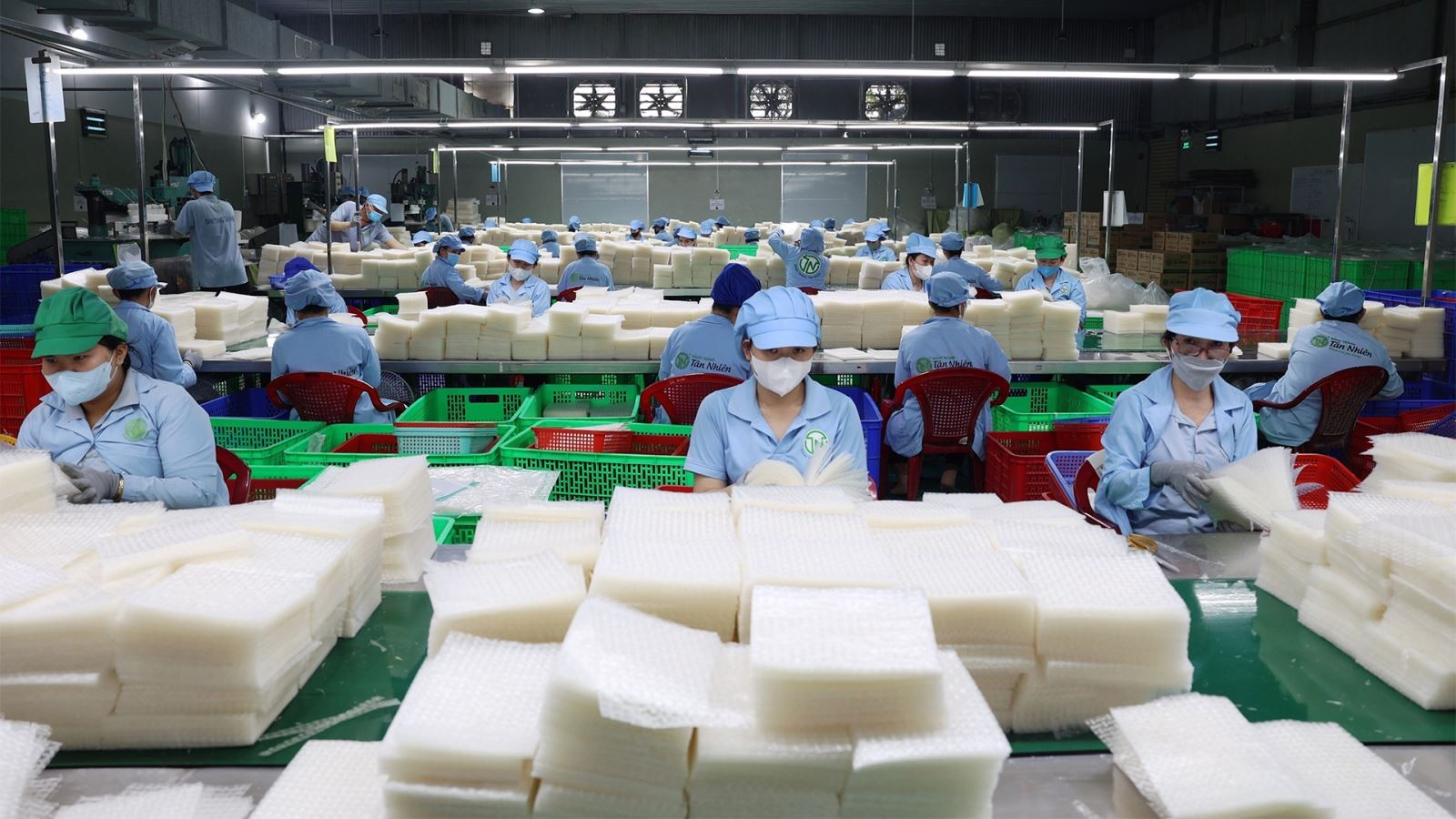 Phân loại bánh tráng thành phẩm của Công ty TNHH Tân Nhiên. Phân loại bánh tráng thành phẩm của Công ty TNHH Tân Nhiên.