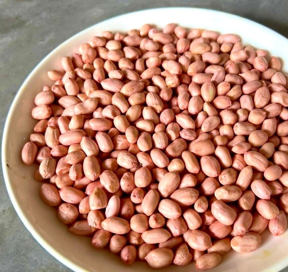 Lạc sen Diễn Châu được tuyển chọn kỹ lưỡng từng hạt.  Lạc sen Diễn Châu được tuyển chọn kỹ lưỡng từng hạt.
