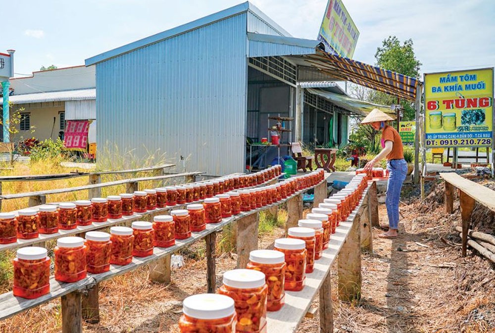 Sau Tung shrimp paste products (Trung Cang hamlet, Tan Trung commune) are popular with customers inside and outside the province.