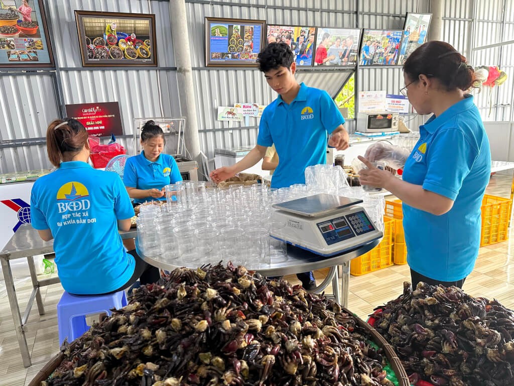 Hợp tác xã Ba khía Ðầm Dơi đang hoàn thiện hồ sơ để được công nhận sản phẩm đạt OCOP 4 sao lên 5 sao. Hợp tác xã Ba khía Ðầm Dơi đang hoàn thiện hồ sơ để được công nhận sản phẩm đạt OCOP 4 sao lên 5 sao.