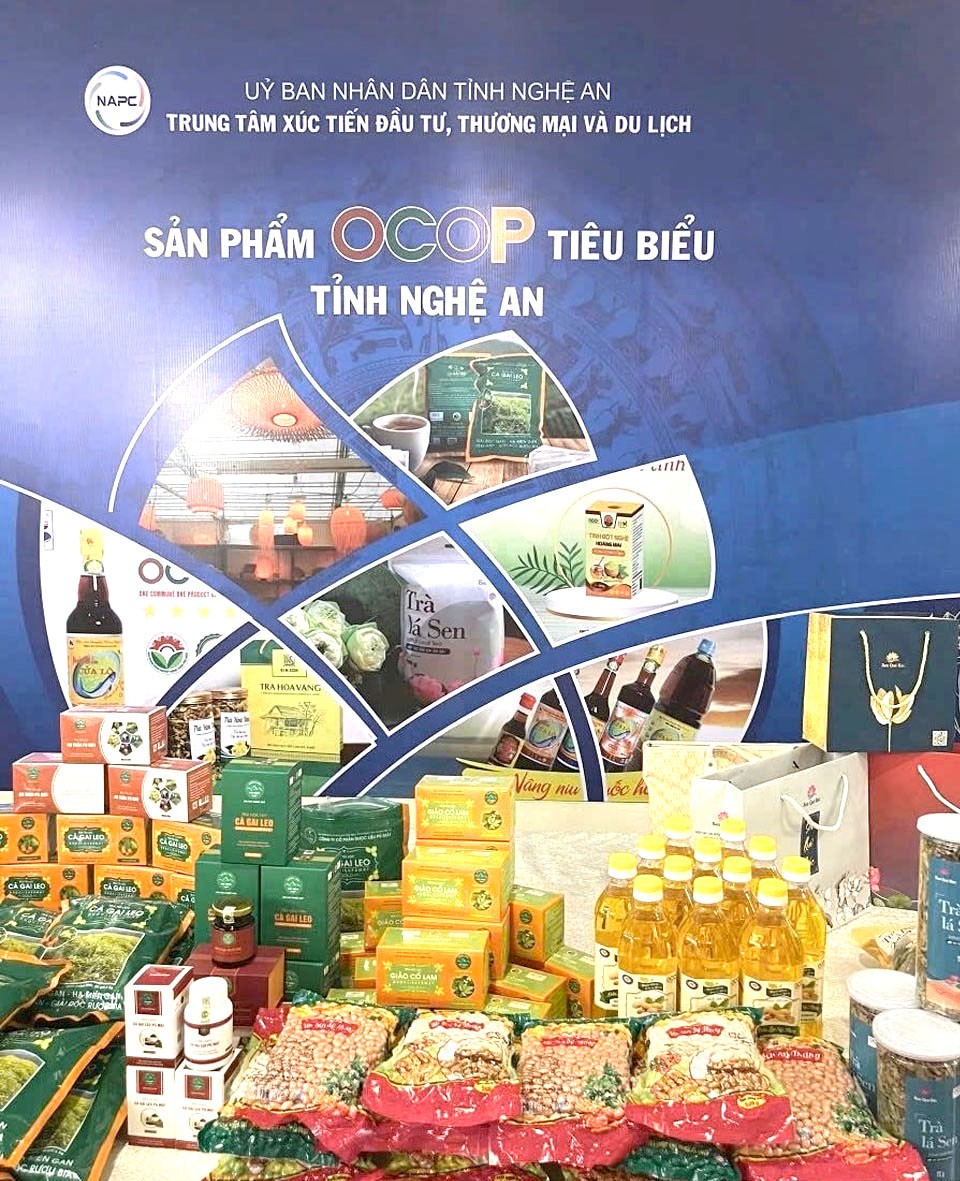 Dien Chau lotus - Quintessence of Nghe An isine Dien Chau lotus - Quintessence of Nghe An isine