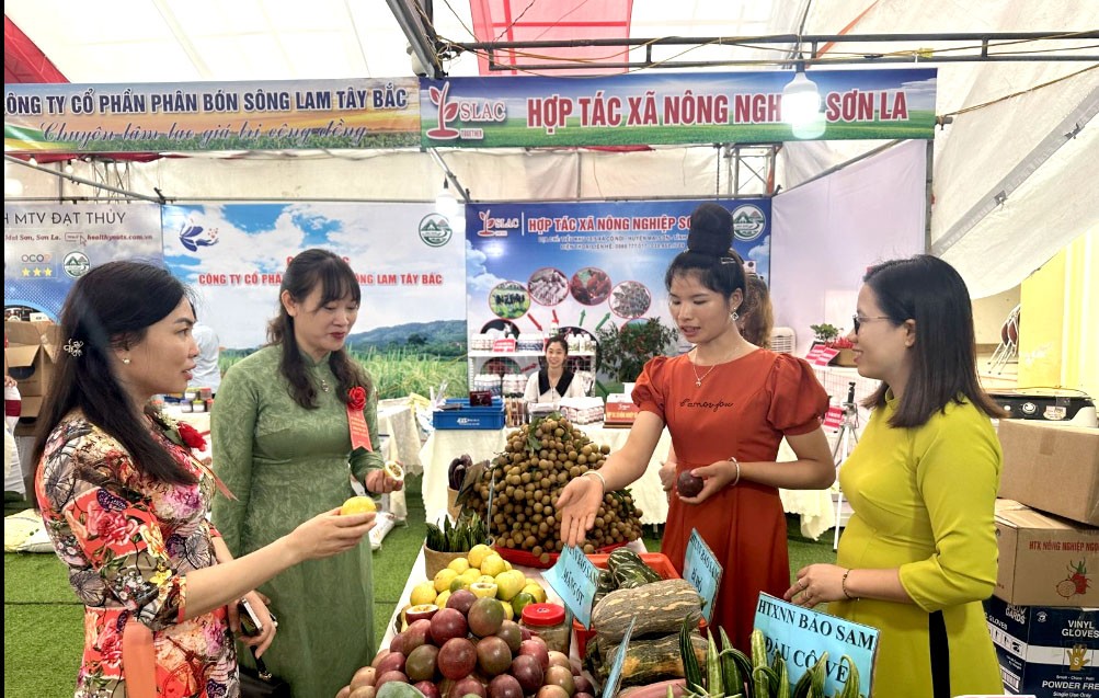 Các đại biểu tham quan gian hàng nông sản của huyện Mai Sơn. Các đại biểu tham quan gian hàng nông sản của huyện Mai Sơn.