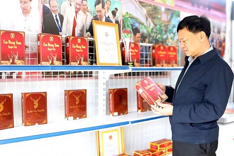 Hà Tĩnh: Đầu xuân các cơ sở OCOP nhanh chóng vào sản xuất