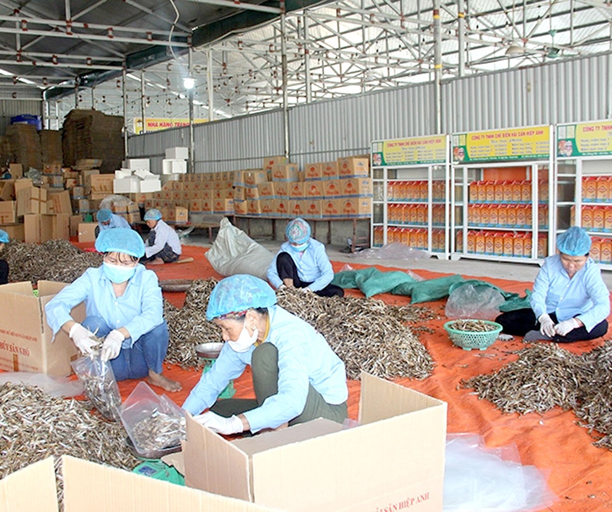 Nghi Sơn (Thanh Hoá): Doanh nghiệp có 4 sản phẩm OCOP