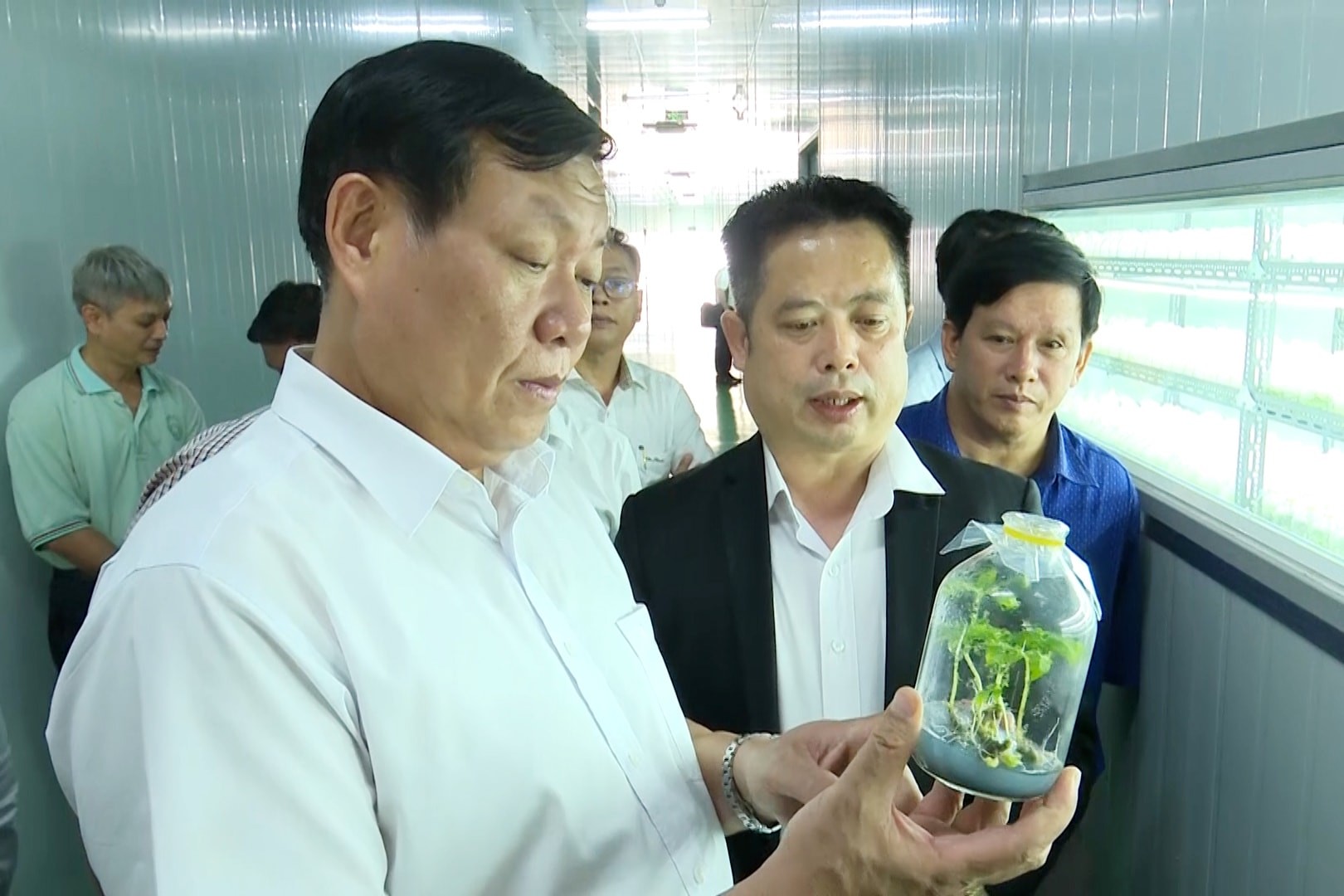 Công ty TNHH Sâm Sâm thực hiện nhiều công trình nghiên cứu về bảo tồn gen giống sâm Ngọc Linh tại Khu công nghiệp Tam Thăng, TP. Tam Kỳ.  Công ty TNHH Sâm Sâm thực hiện nhiều công trình nghiên cứu về bảo tồn gen giống sâm Ngọc Linh tại Khu công nghiệp Tam Thăng, TP. Tam Kỳ.