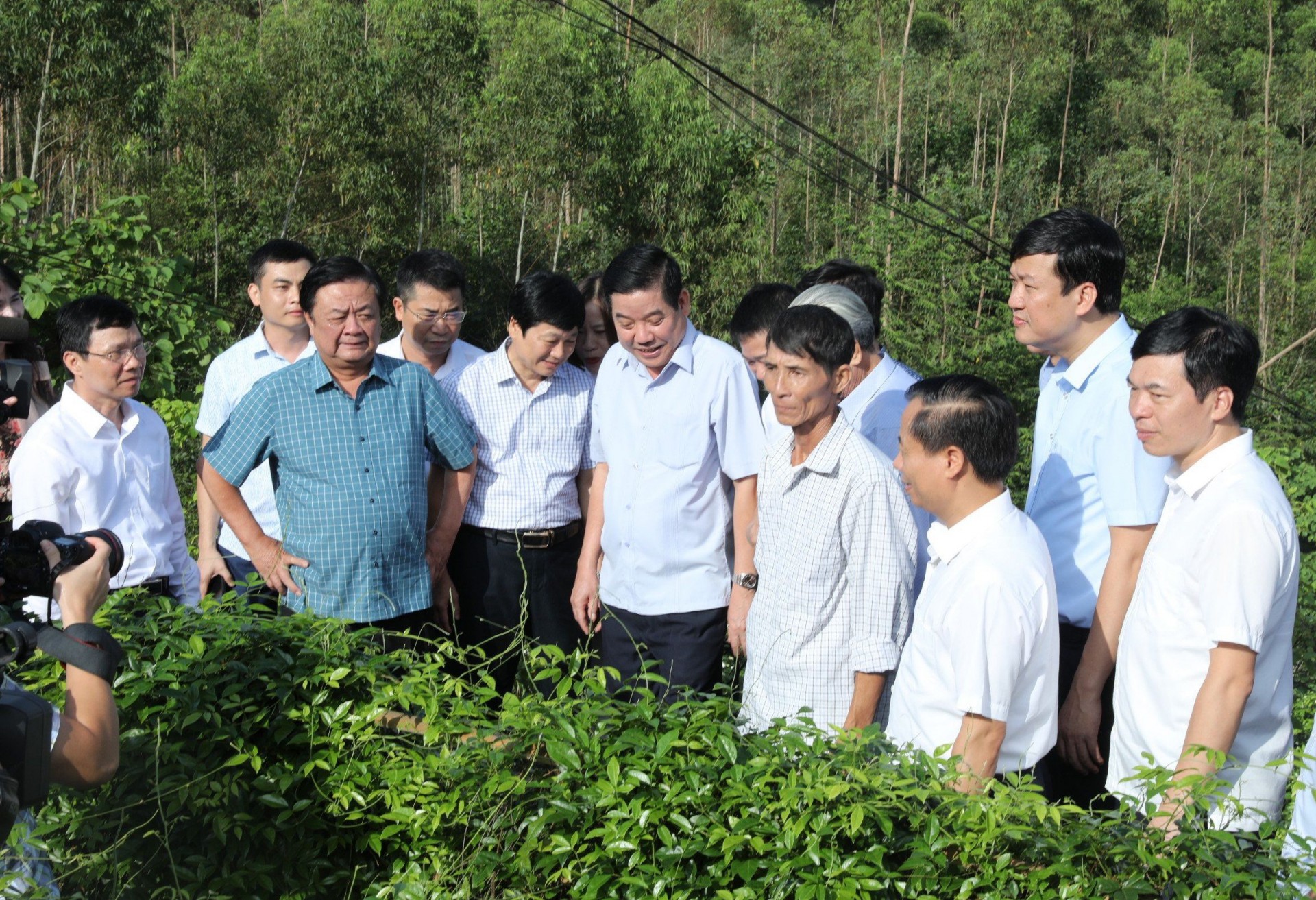 Minister of Agriculture and Rural Development Le Minh Hoan and leaders of  Bac Giang province visited Danh Duc Hanh Mountain Ginseng Cooperative.