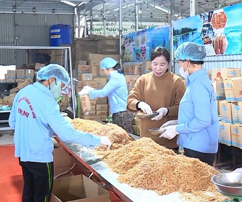 nghi son thanh hoa doanh nghiep co 4 san pham ocop