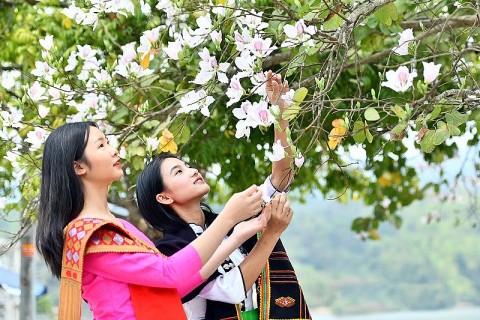 chuoi hoat dong hap dan tai le hoi hoa ban 2025